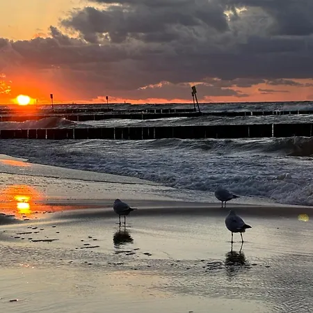 Oliwin Daire Kolobrzeg