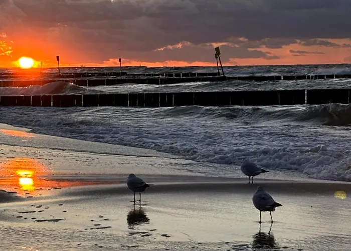 Oliwin Lägenhet Kołobrzeg